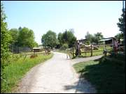 Click to display the file, DSC06683.jpg