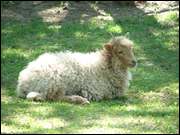 Click to display the file, DSC06693.jpg