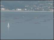 Click to display the file, DSC06518.jpg