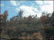 Click to display the file, DSC06548.jpg