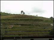 Click to display the file, DSC06713.jpg