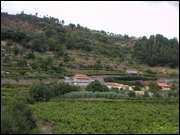 Click to display the file, DSC06717.jpg