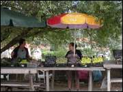 Click to display the file, DSC06720.jpg