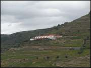 Click to display the file, DSC06726.jpg