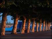 Click to display the file, DSC06658.jpg