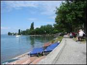 Click to display the file, DSC06931.jpg