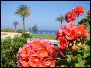 Click to display the file, DSC03302.jpg