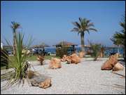 Click to display the file, DSC03304.jpg