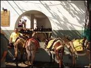 Click to display the file, DSC03354.jpg