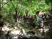 Click to display the file, DSC03414.jpg