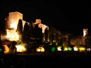 Click to display the file, DSC03487.jpg