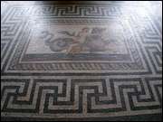 Click to display the file, DSC03514.jpg