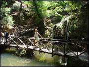 Click to display the file, DSC03549.jpg