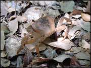 Click to display the file, DSC03553.jpg