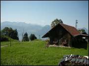 Click to display the file, DSCN6409.jpg