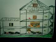 Click to display the file, CIMG0003.JPG