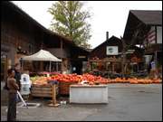 Click to display the file, DSC04763.jpg