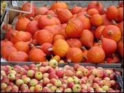 Click to display the file, DSC04812.jpg