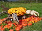 Click to display the file, DSC04817.jpg