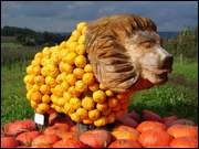 Click to display the file, DSC04818.jpg