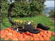 Click to display the file, DSC04819.jpg