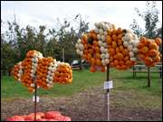 Click to display the file, DSC04820.jpg