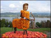 Click to display the file, DSC04822.jpg