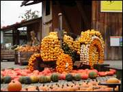 Click to display the file, DSC04823.jpg