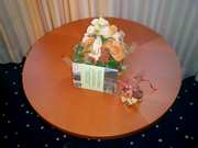 Click to display the file, CIMG0015.jpg