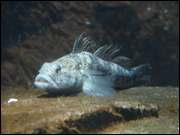 Click to display the file, DSC05989.jpg