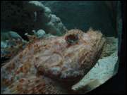 Click to display the file, DSC05999.jpg