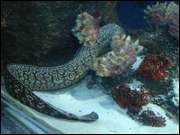 Click to display the file, DSC06017.jpg