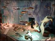 Click to display the file, DSC06033.jpg