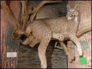 Click to display the file, DSC06041.jpg