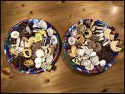 Click to display the file, DSC01609.jpg