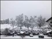 Click to display the file, DSC01611.jpg