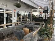 Click to display the file, IMG_7384.jpg