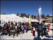 Click to display the file, IMG_7544.jpg