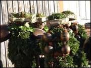 Click to display the file, DSC02858.jpg