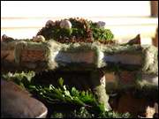 Click to display the file, DSC02861.jpg