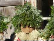 Click to display the file, DSC02863.jpg