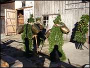 Click to display the file, DSC02866.jpg