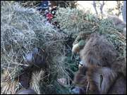 Click to display the file, DSC02873.jpg