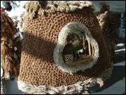 Click to display the file, DSC02884.jpg