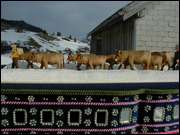 Click to display the file, DSC02886.jpg