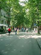 Click to display the file, CIMG0165.jpg