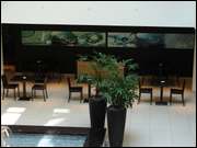 Click to display the file, DSC03904.jpg