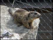 Click to display the file, DSC03941.jpg