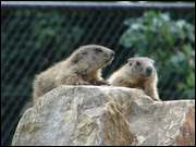 Click to display the file, DSC03943.jpg