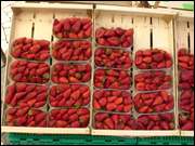 Click to display the file, DSC00068.jpg